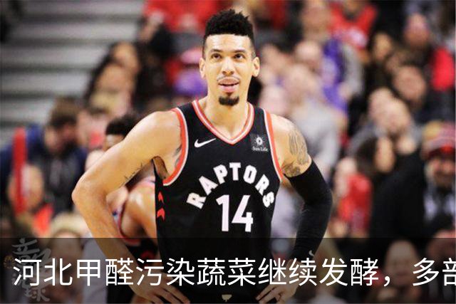 河北甲醛污染蔬菜继续发酵，多部门介入调查